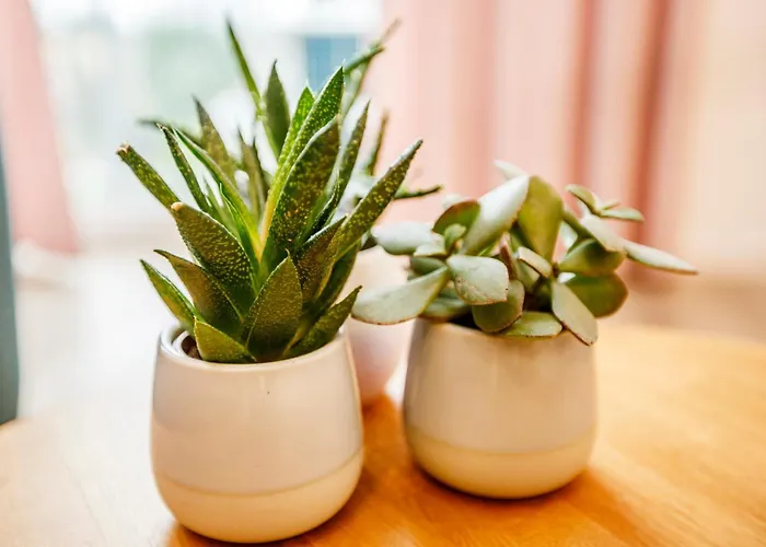 Apartment Bochenka Ii