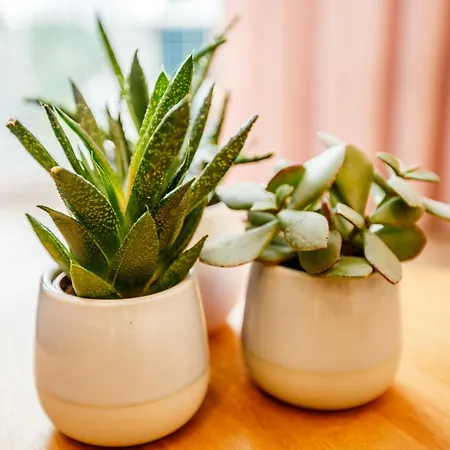 Апартаменты Bochenka Ii